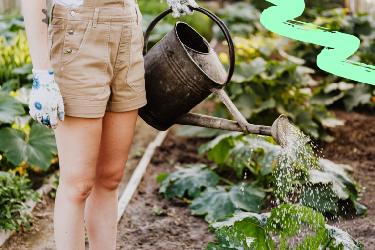 5 Signs That You Need To Use Agronomy Services For Your Allotment
