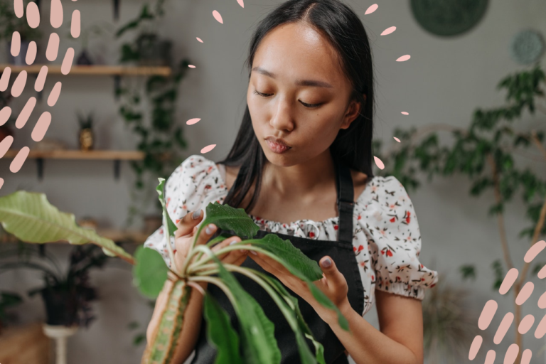 Expert Reveals How To Actually Keep Your Houseplants Alive