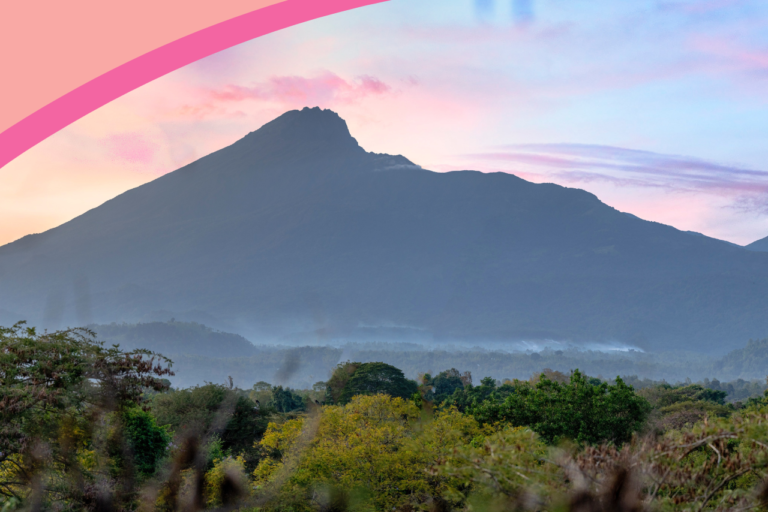 Hiking Kilimanjaro: 9 Top Tips For Taking The Lemosho Route