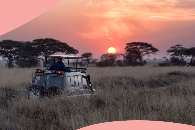7 Reasons To Go On A Tanzania Safari In 2023