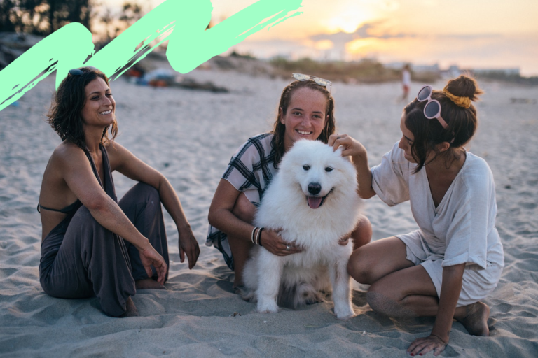 How To Train Your Dog To Be Less Stressed On Holiday