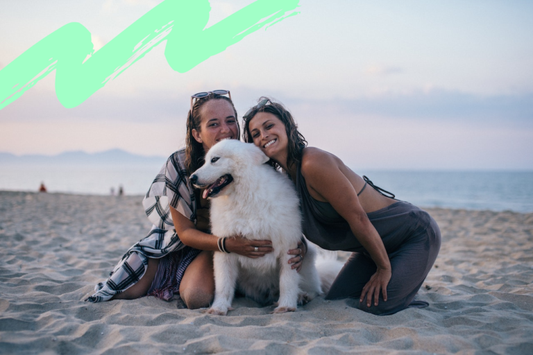 4 Dog-Friendly Tips For Your Summer Holiday 
