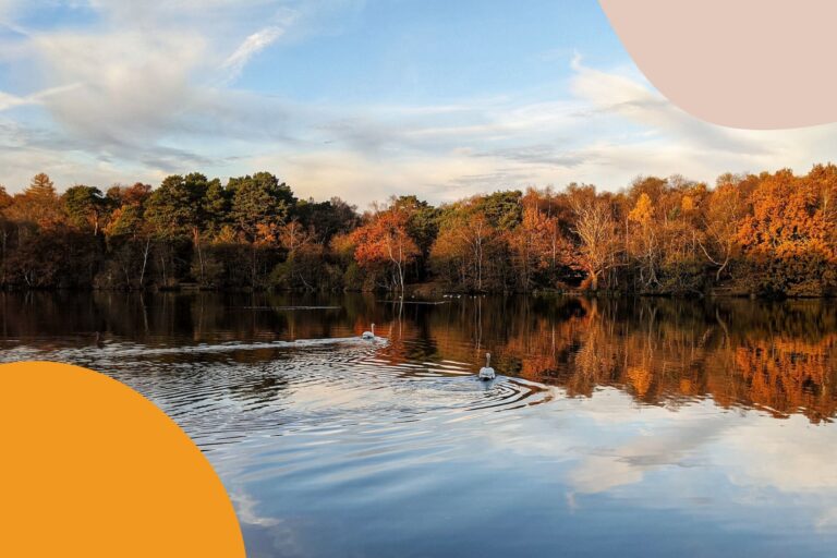 Upping Sticks: 5 Reasons To Move To Surrey, England