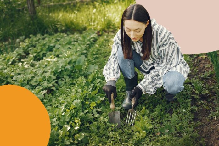 gardening