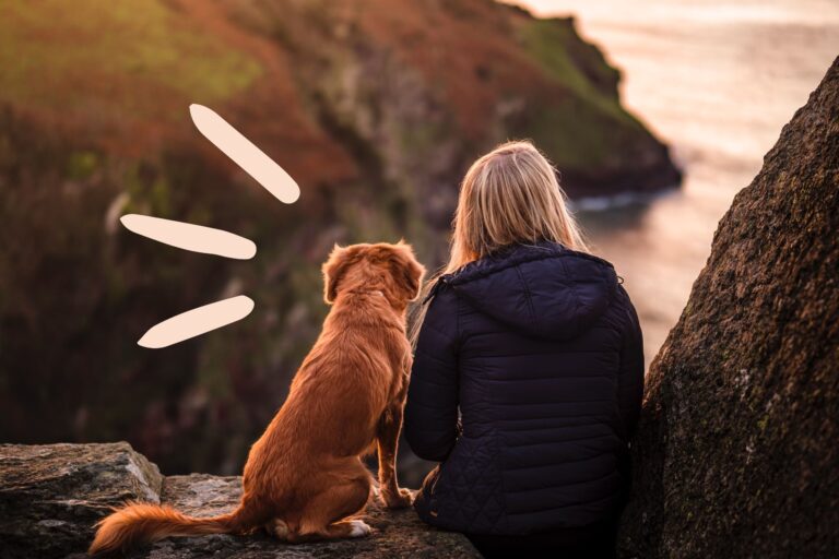 5 Ways A Pet Can Improve Both Your Physical & Mental Health