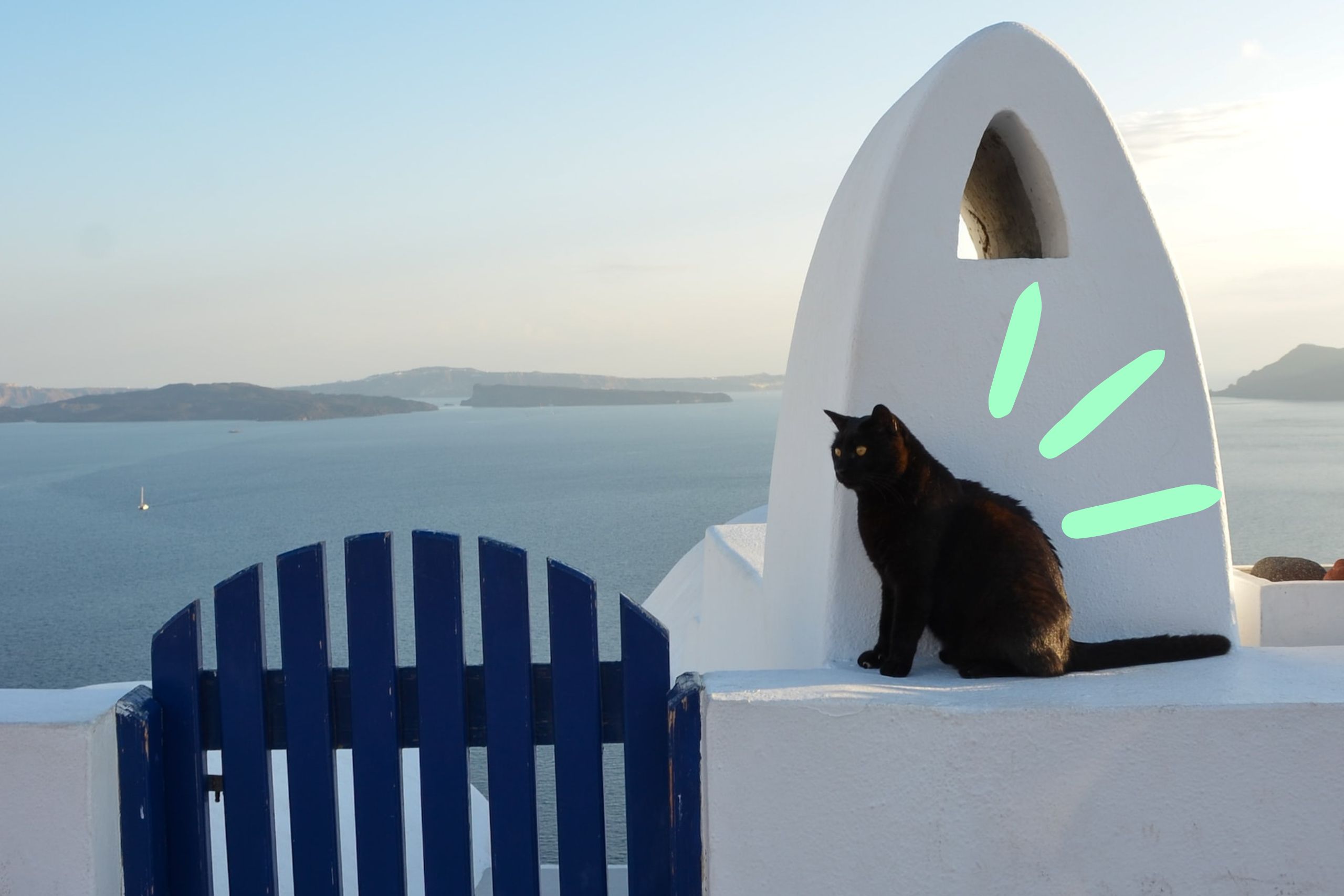 hot-cat - Ideal Magazine