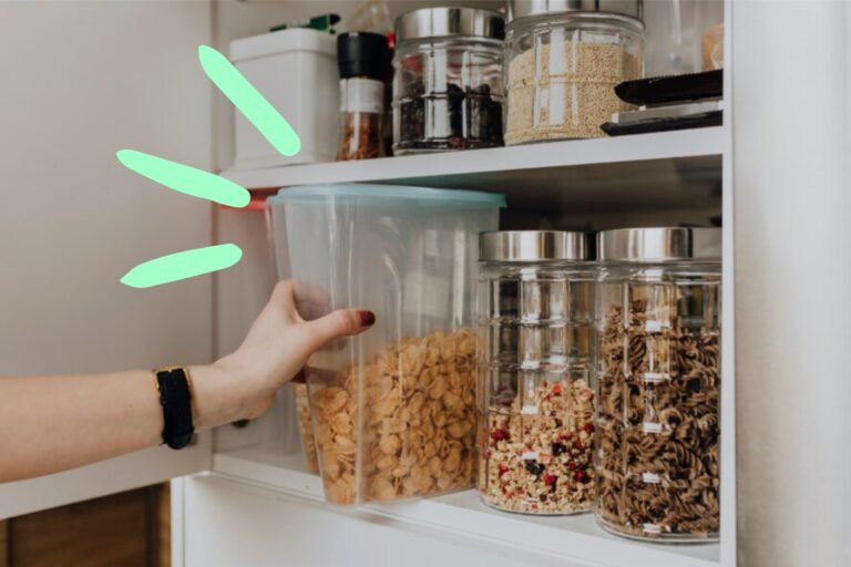 The Ideal Guide To Maintaining A Pest-Free Home