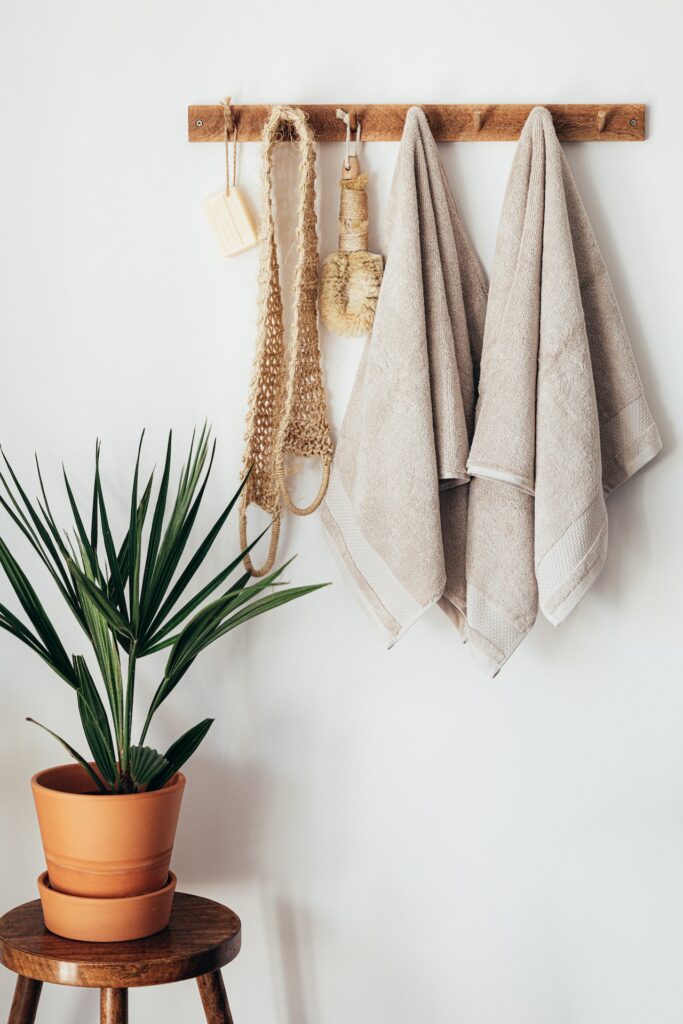 Photo by Karolina Grabowska: https://www.pexels.com/photo/green-potted-plant-in-minimalistic-bathroom-with-body-care-tools-4210314/