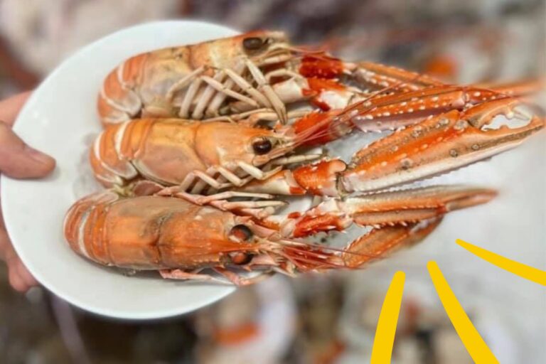 The Ideal Neighbourhood Fish Restaurant: The Spiny Lobster, Bristol