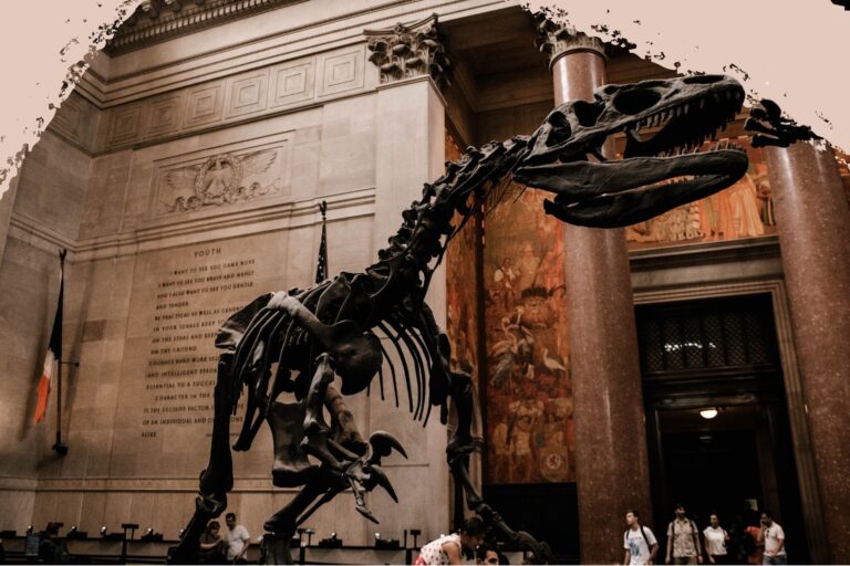 The Best Free Things To Do In New York’s Upper West Side