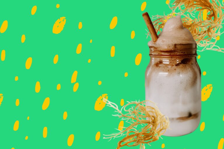 Wellness Trend: Sea Moss Smoothie Recipes