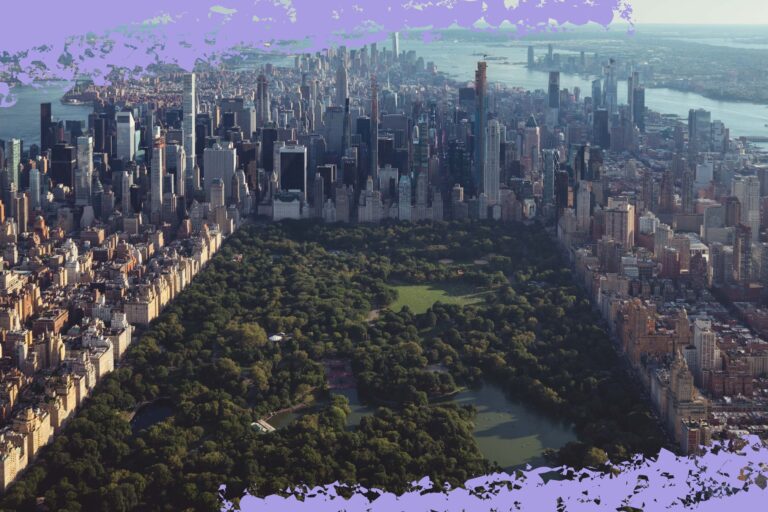 The Ultimate Guide On Things To Do In Central Park To Suit All Budgets