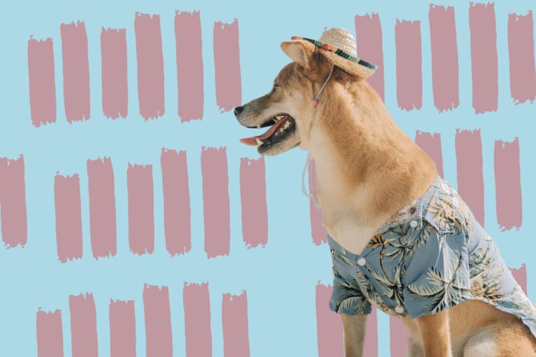 7 Tips For Stress-Free Travel With Your Dog