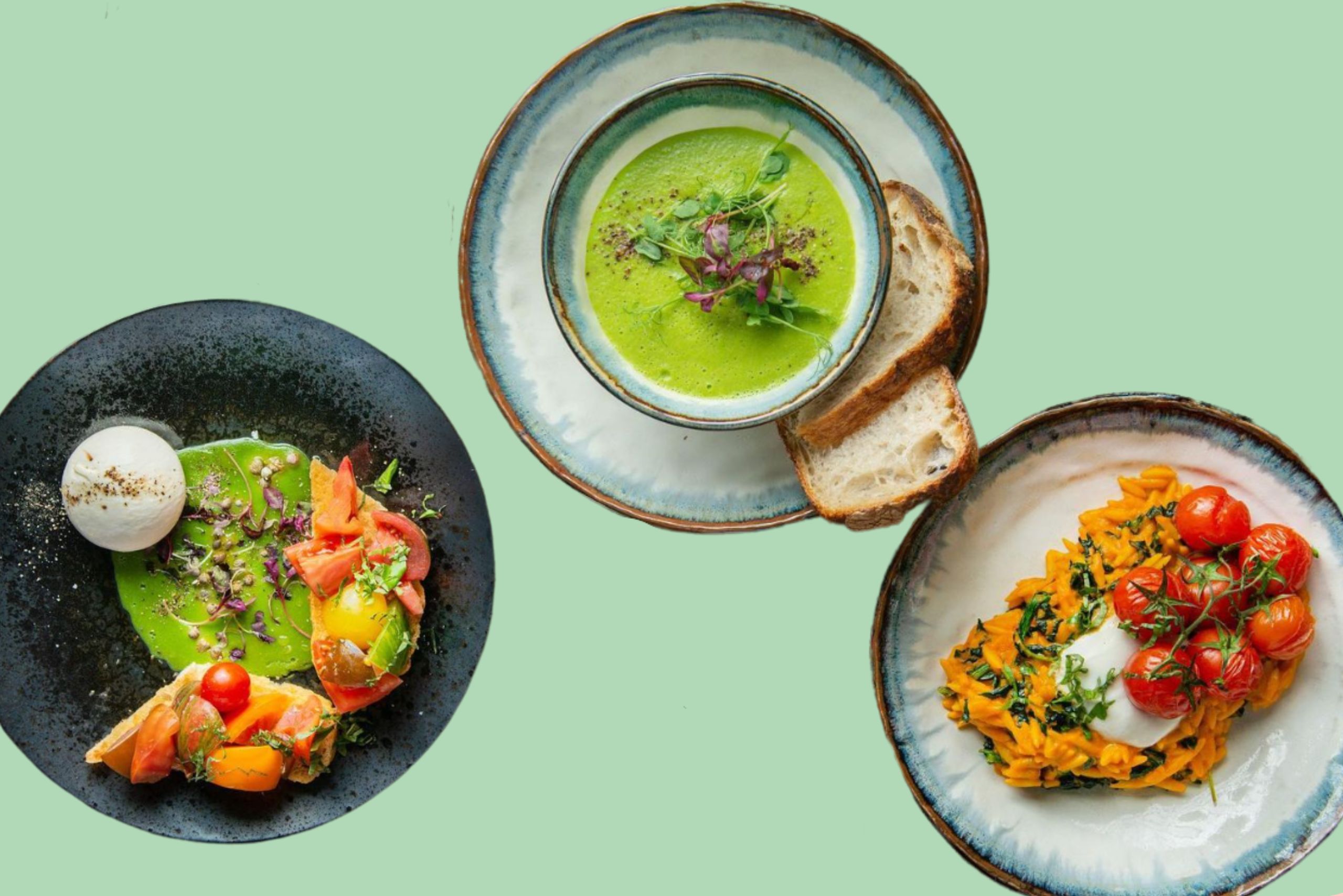 The Best Vegetarian & Vegan Restaurants In Brighton Ideal Magazine