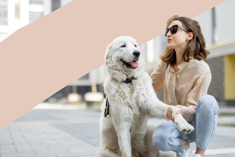 10 Top Tips For Owning A Dog In London