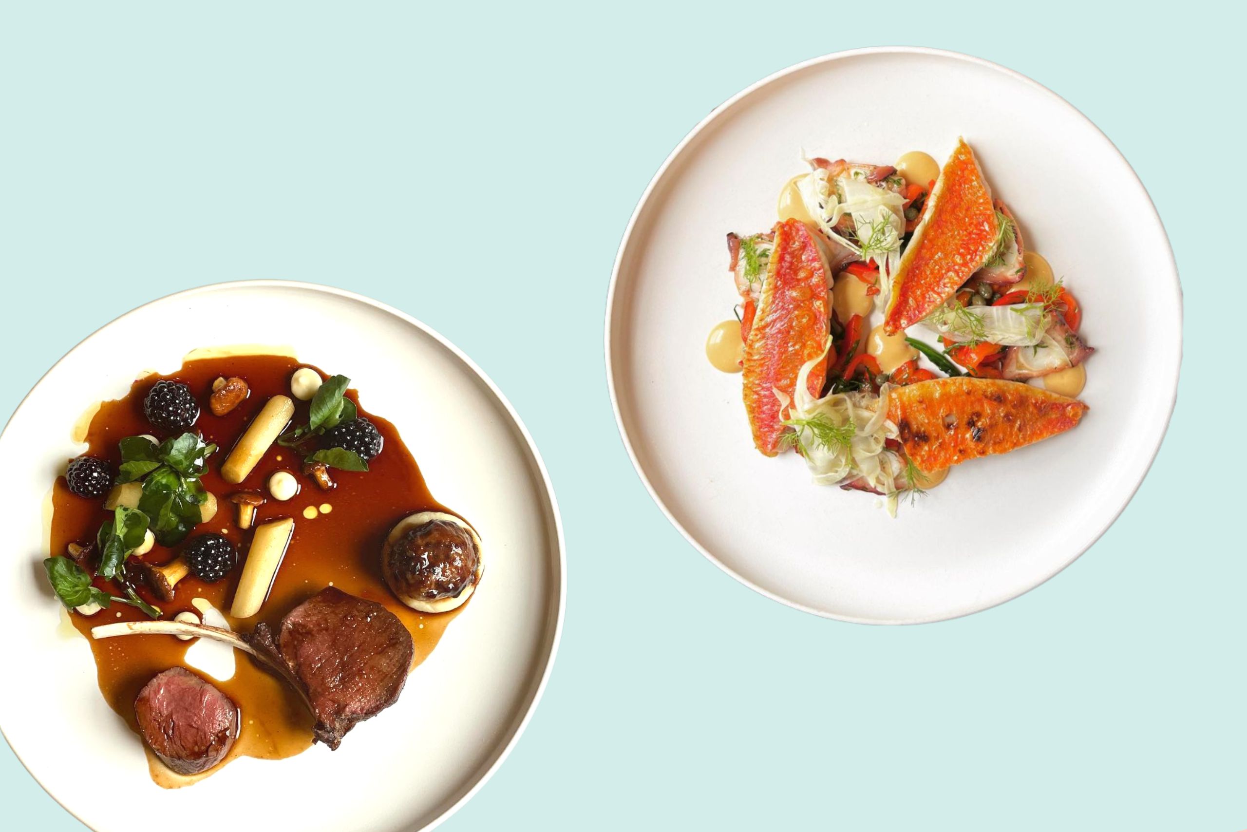 GameBath Ideal Magazine