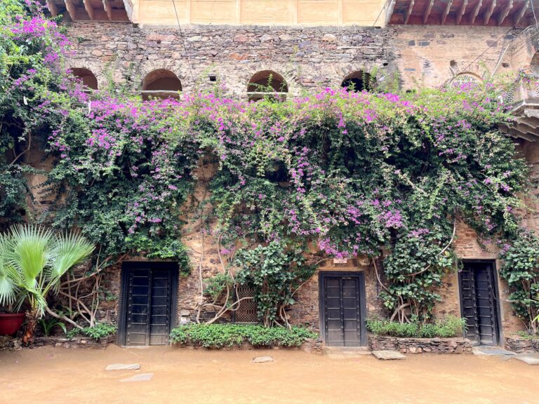11 Of The Best Things To Do In Alwar, India