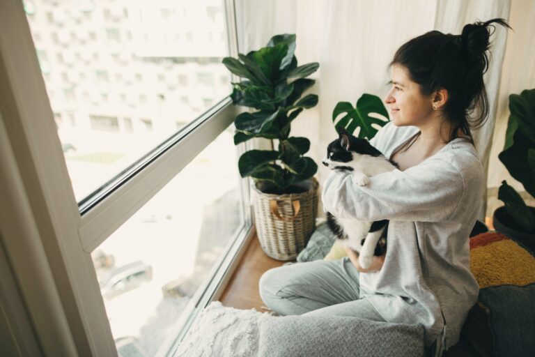 Innovative Soundproofing Solutions For Your City Centre Home