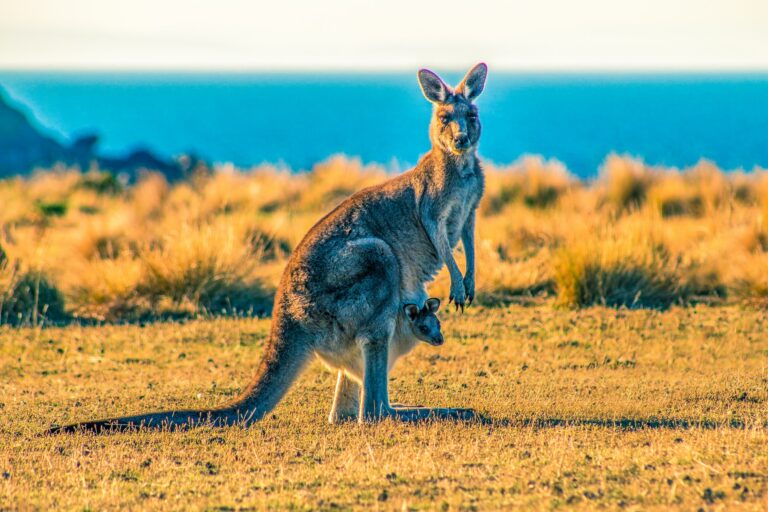 10 Key Eco-Tourism Destinations Predicted For 2024