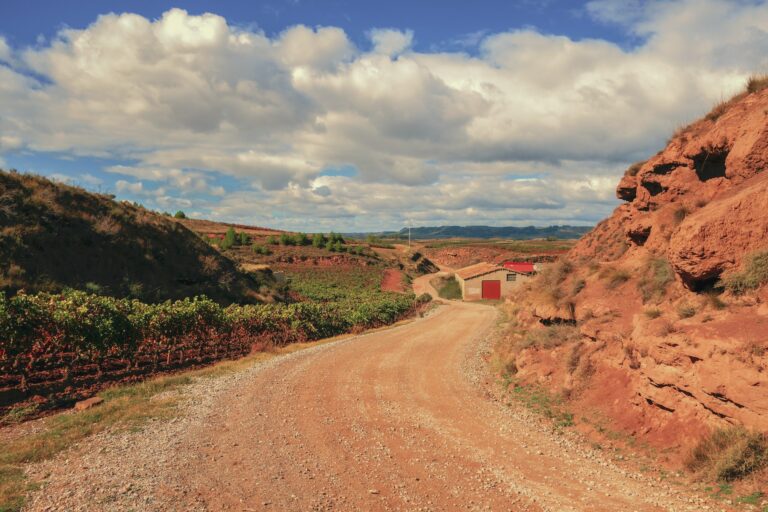 Where To Eat Along The Camino Frances: The Best Food & Restaurants