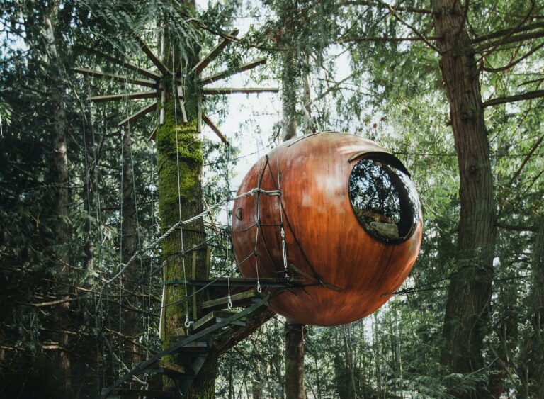 10 Of The Best Treehouse Stays In The UK For 2024