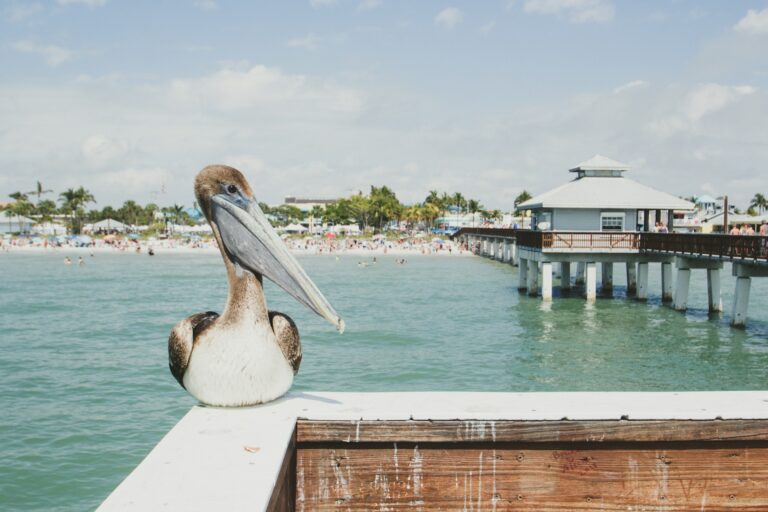 A Long Weekend In Cape Coral & Fort Myers: The Ideal Itinerary