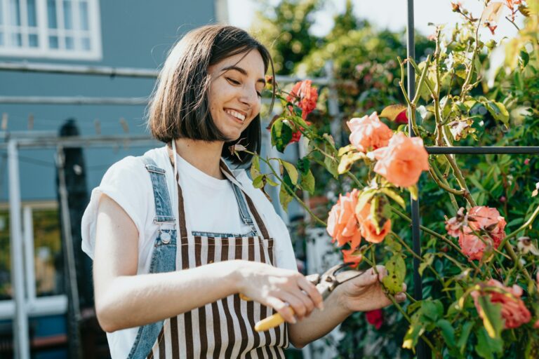7 Low Maintenance Plants Ideal For The Lazy UK Gardener