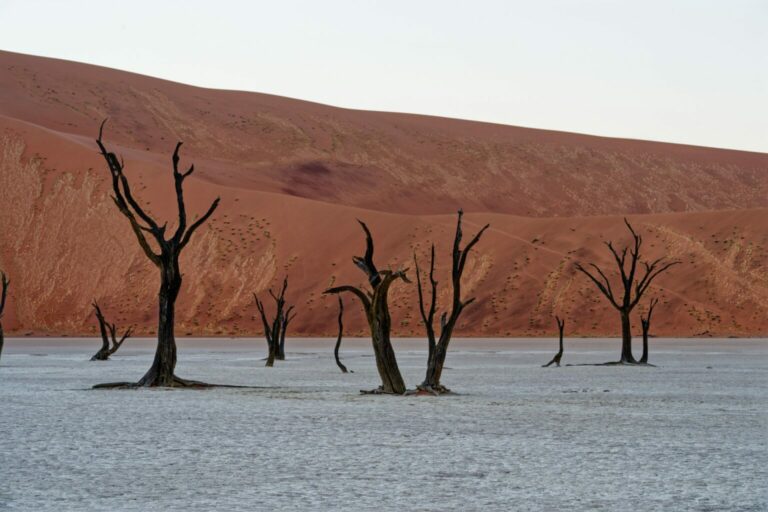 Properly Off The Beaten Path: Africa’s Most Unique Safari Experiences