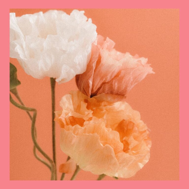 The UK’s Favourite Flowers For Home Gardeners: Roses Reign As The Nation’s Top Pick