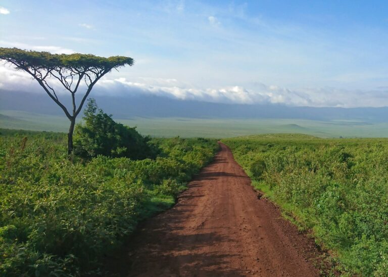 2024’s Best Safari Destination: Tanzania, The Ideal Mix Of Adventure & Serenity