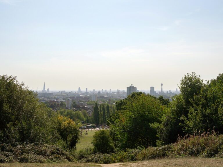 An Insider’s Guide To Foraging On Hampstead Heath: Where, When & How