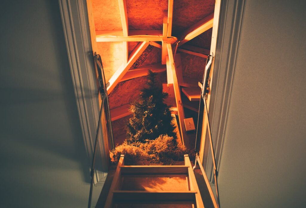 attic storage 