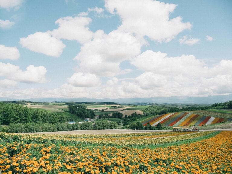 Land Of The Rising Gears: Japan’s Most Spectacular Cycling Routes