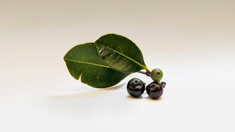 5 Unusual Wellness Ingredients That You May Not Have Tried Yet