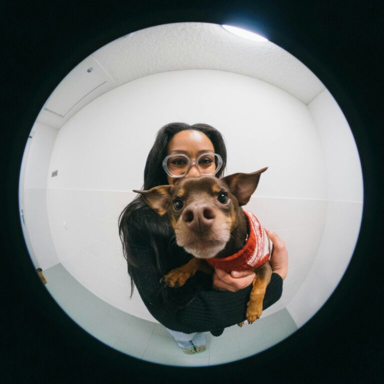 10 Things You Need To Know Before Getting a Dog