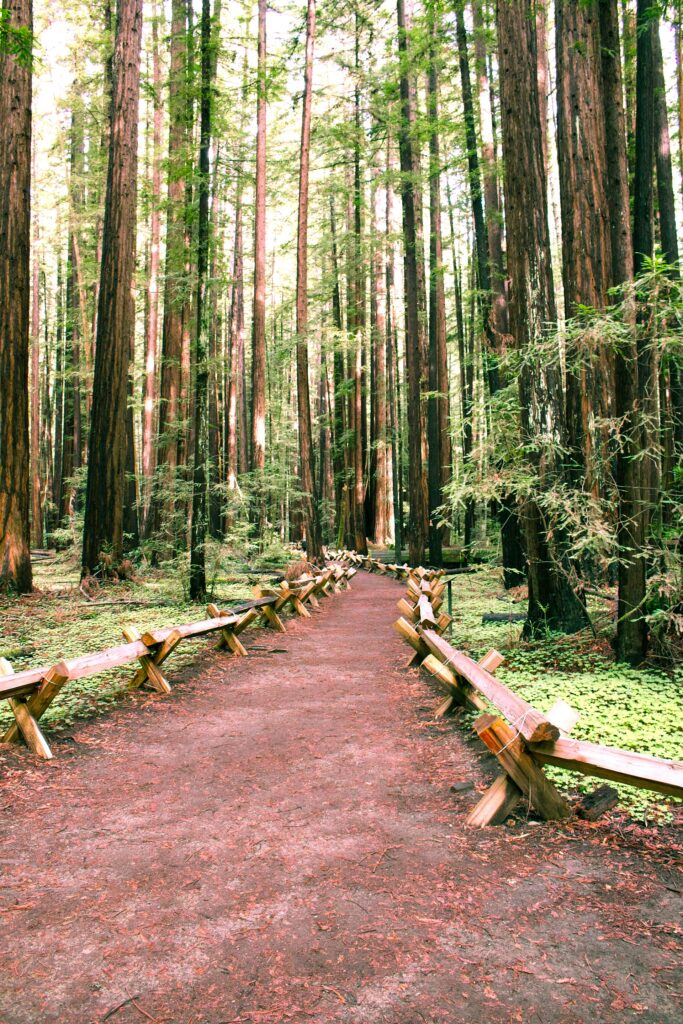 Guerneville