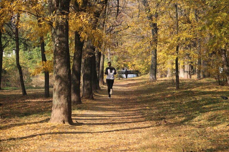 How To Maintain Your Fitness Through Autumn: A Practical Guide To Beating the Seasonal Slump